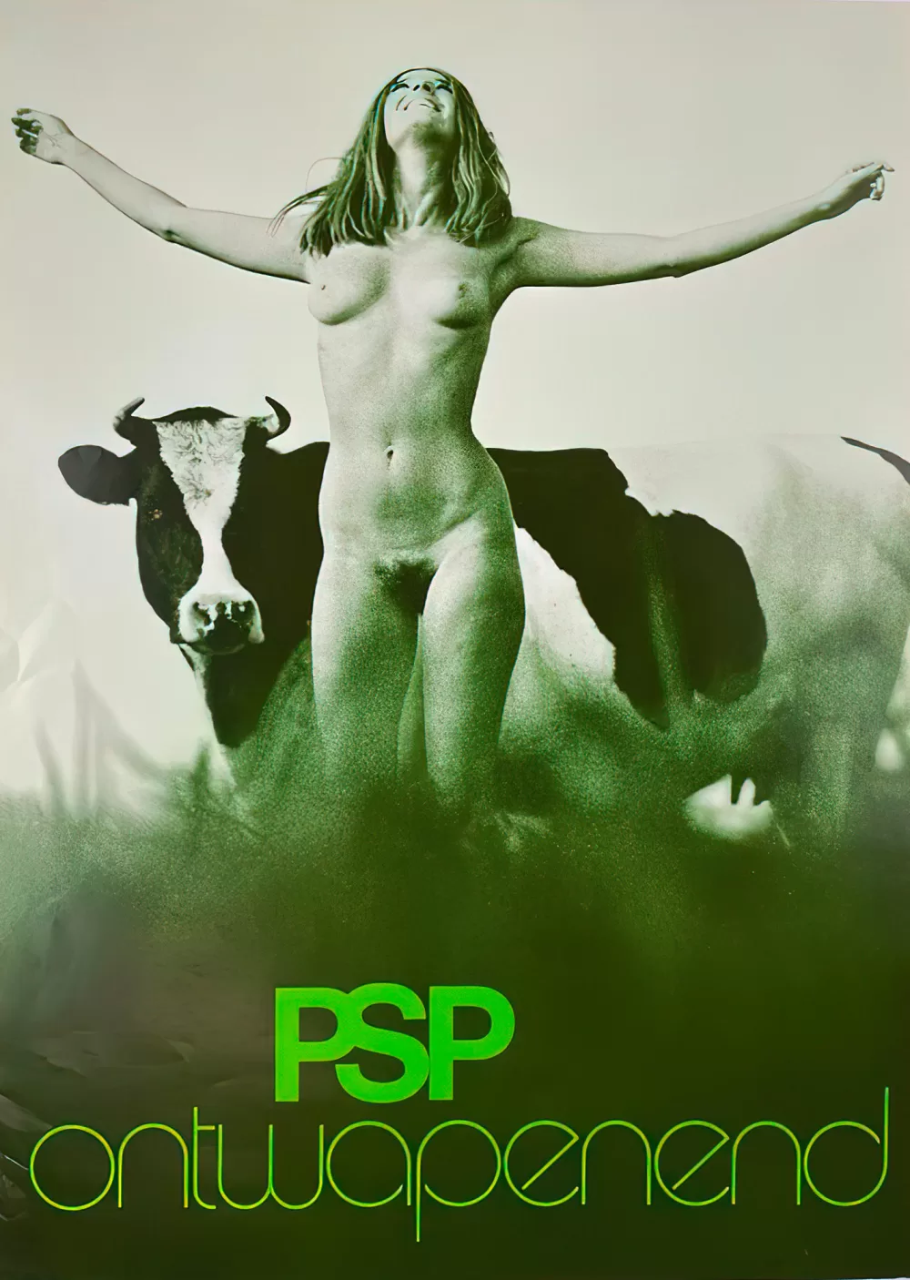 1971, Pazifistischen Sozialistischen Partei, Hendrik Jan Koldewei.