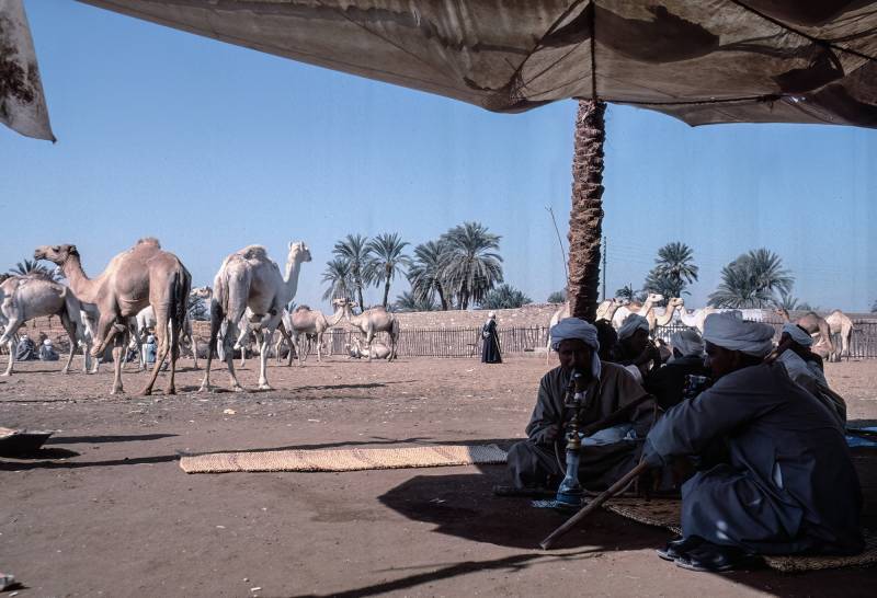 1994, Kamelmarkt