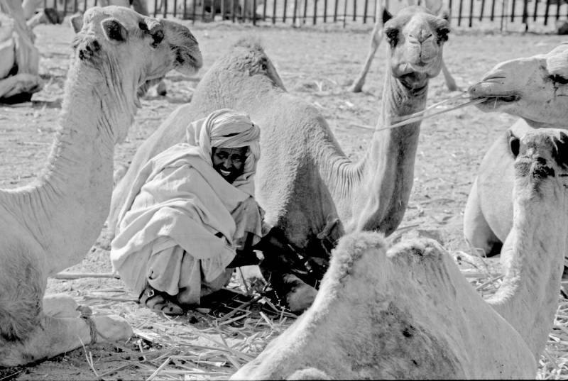 1994, Darau, Kamelverkäufer.
