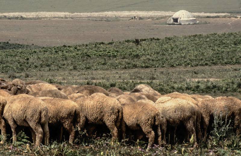 1987, 200000 Bunker sollten der Verteidigung des Landes dienen.