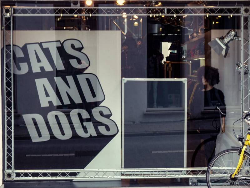 2010, Cats and Dogs, eine Modeboutique in Antwerpen.