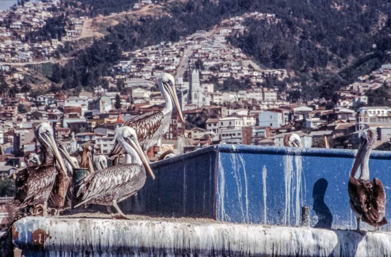Blick auf Valparaiso. Valparaíso ist eine chilenische Hafenstadt und bekannt durch ihre Seilbahnen.