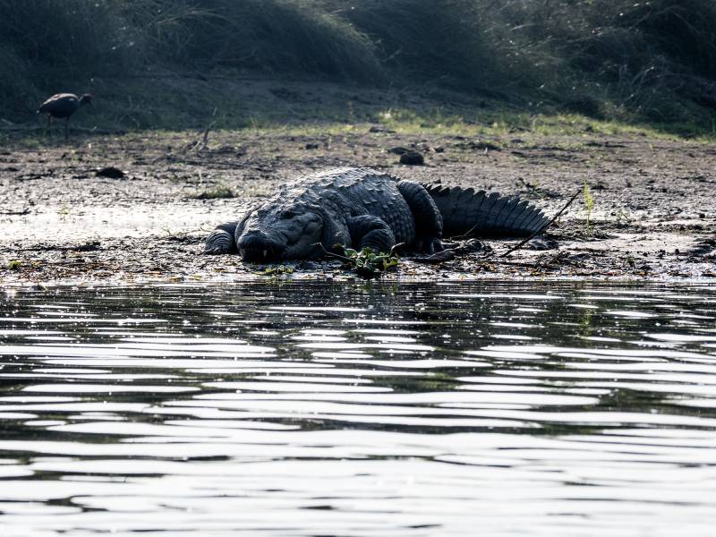 2024, Nepal, Chitwan-Nationalpark