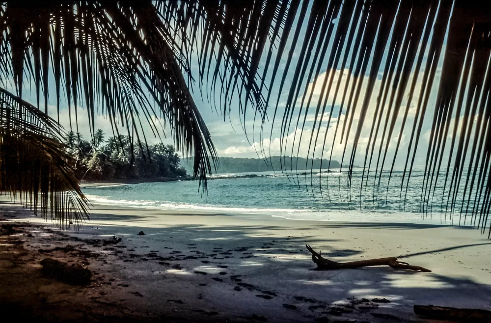 Der Corcovado-Nationalpark ist ein Reservat im Südwesten der Osa-Halbinsel Costa Ricas.