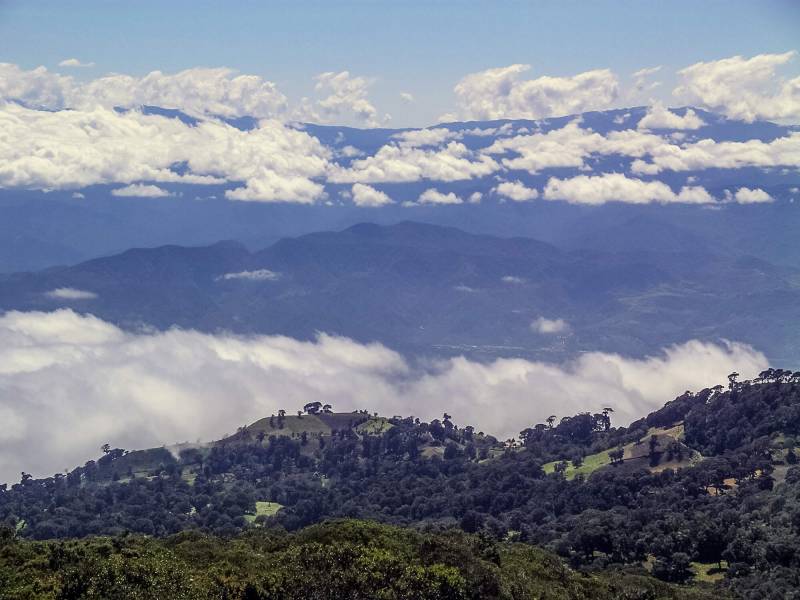 Costa Rica ist ein raues, von Regenwäldern durchzogenes Land in Zentralamerika.