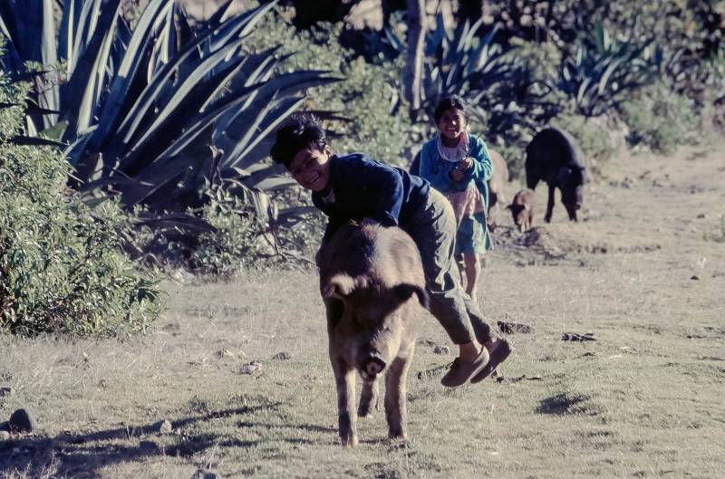 1986, spielende Kinder an der Lagune von San Pablo (2.660 m Meereshöhe).