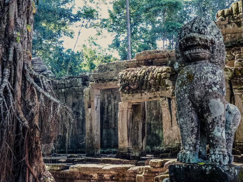 Preah Khan ist ein Tempel aus dem 12. Jahrhundert.