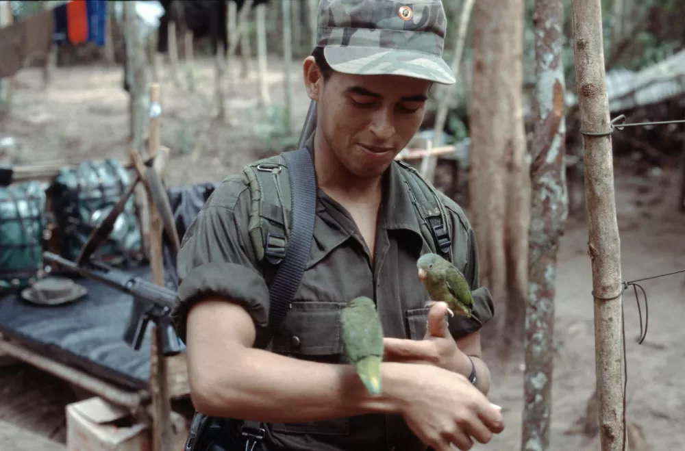 1997, Farc-Kämpfer mit seinen 2 Sittichen.