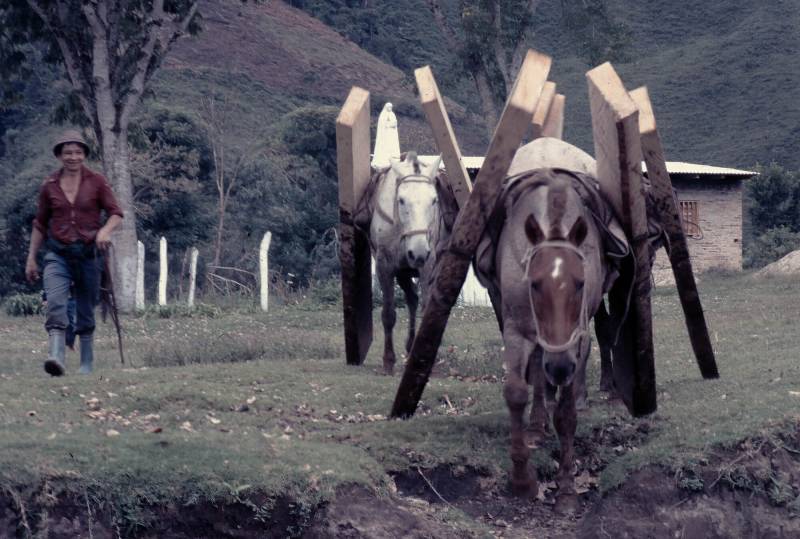 PUERTO QUINCHANA in San Agustin, Huila.