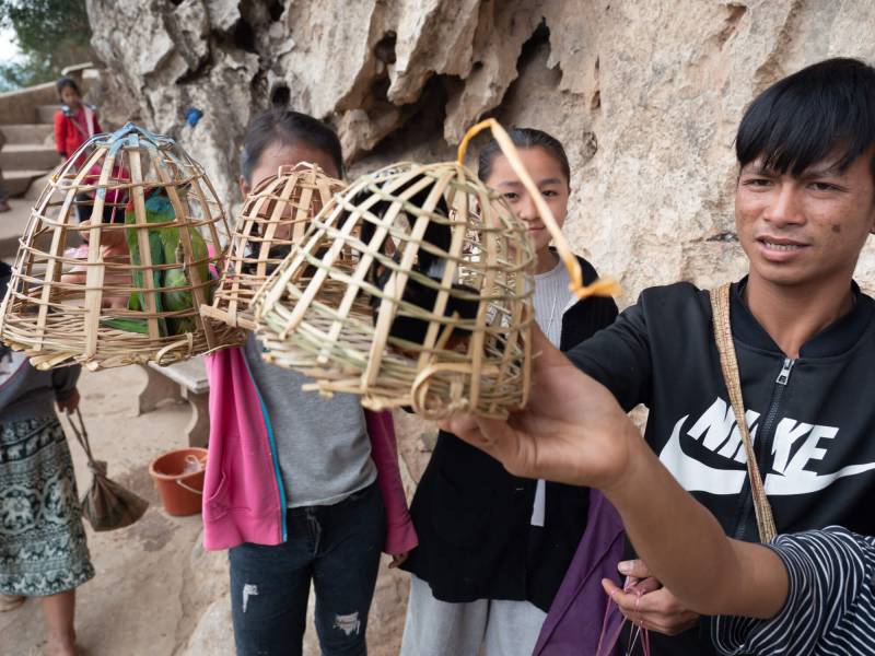 2019, Pak Ou, Kinder, die für ein Entgelt Vögel freilassen.