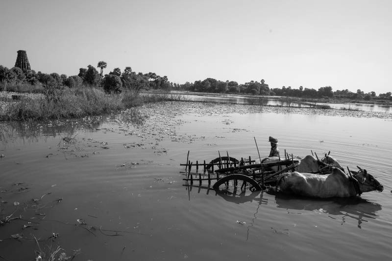 2016, Myanmar ist ein Agrarland mit gewaltigen Ressourcen.