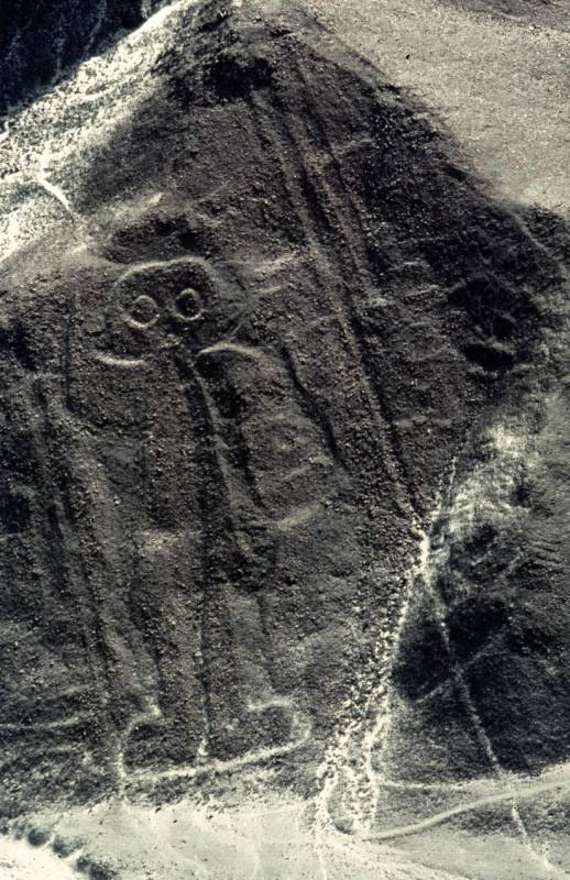 1985, Nazca, 1500 riesige Bilder wurden in den Wüstenboden geritzt.