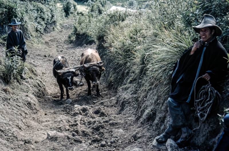 HUANCABAMBA, Laguna Shimbe SALALA, Las Huaringas.