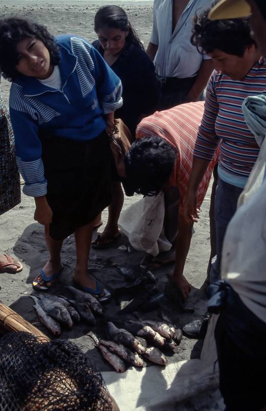 1987, Fischverkauf in der Hafenstadt Trujillo.
