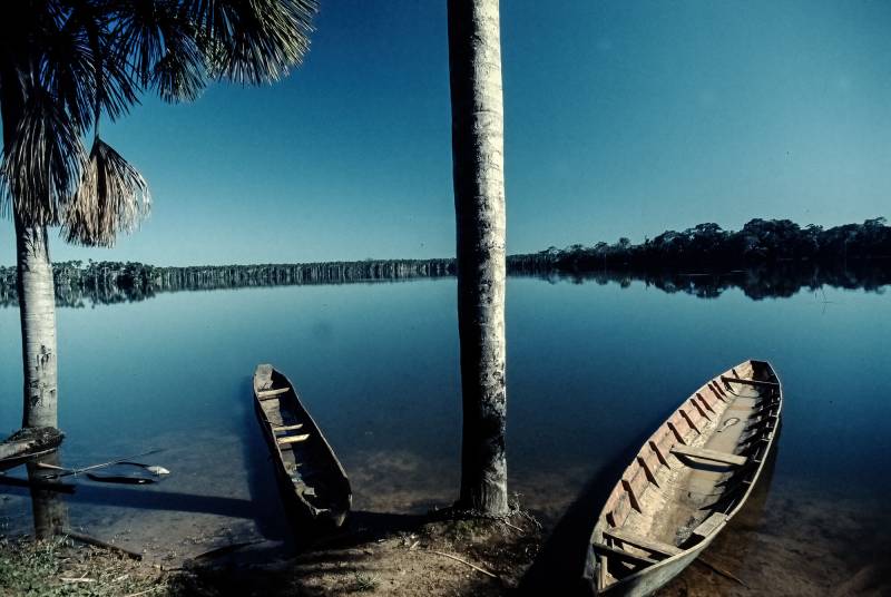 1990, Madre de Dios ist von tropischem Regenwald bedeckt.