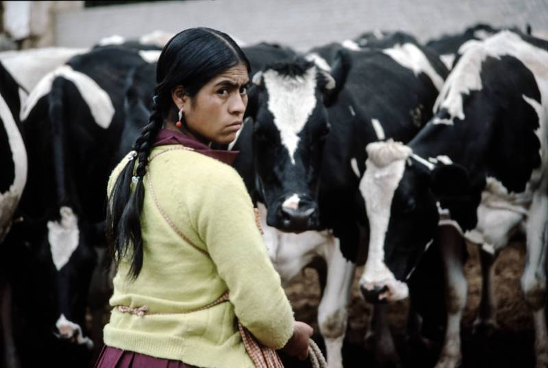 1988, Cajamarca, Bäuerin einer Cooperative.