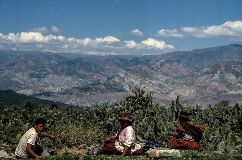 1987, Pampa de la Quinua (peruanischen Zentralkordillere).