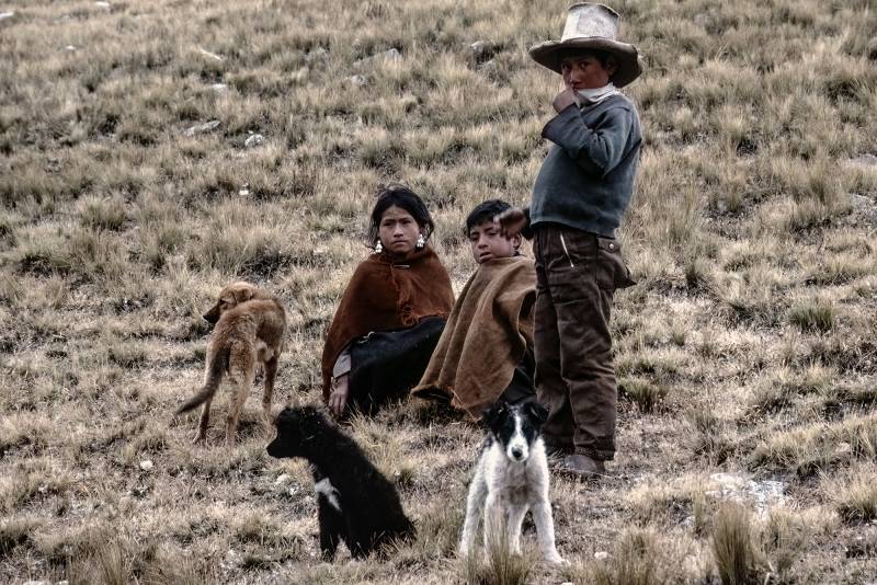 1988, Cajamarca, Kinder mit ihren Hunden.