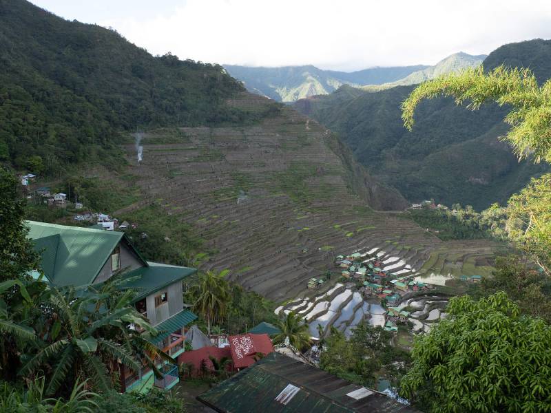 Batad, Ein Ampitheater von Reis – die Batad Reisterrassen.