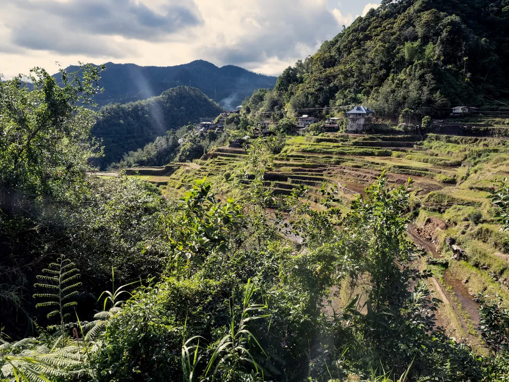 Batad, Die Reisterrassen in den philippinischen Kordilleren, im Nordosten der Insel Luzón, gehören seit 1995 zum Weltkulturerbe der UNESCO.