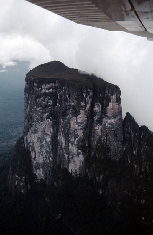Das Naturdenkmal Cerro Autana (Amazonas), 1300 Meter hoch. Blick aus dem Kleinflugzeug.