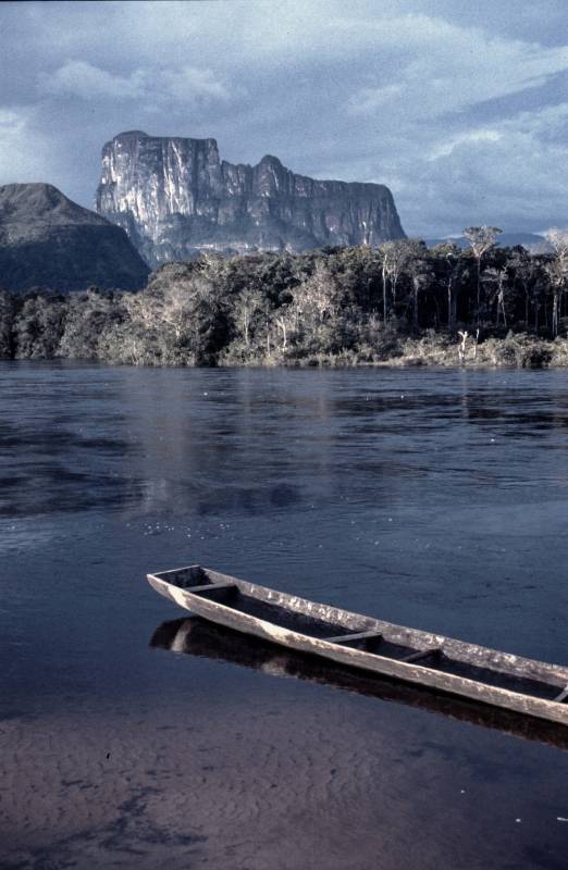 Autana Tepui, im Bundesstaat Amazonas.