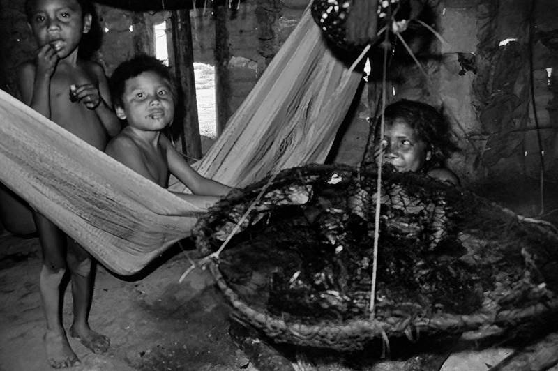 Leben im «Shabono», dem traditionellen Rundhaus der Yanomami.