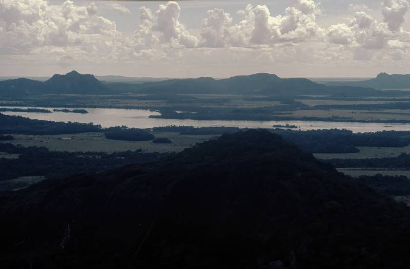 Blick aus dem Flugzeug ins Amazonasbecken.