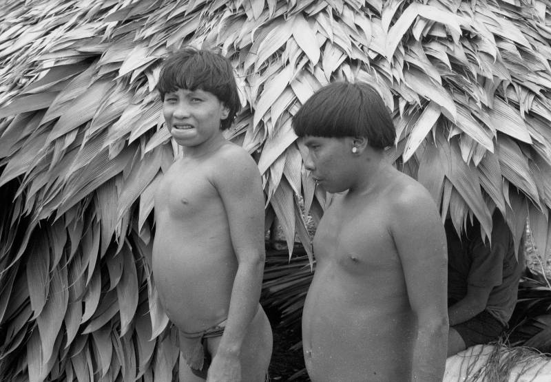 Die Yanomamis leben als Jäger und Sammler, bauen aber auch verschiedene Feldfrüchte in Gärten an.