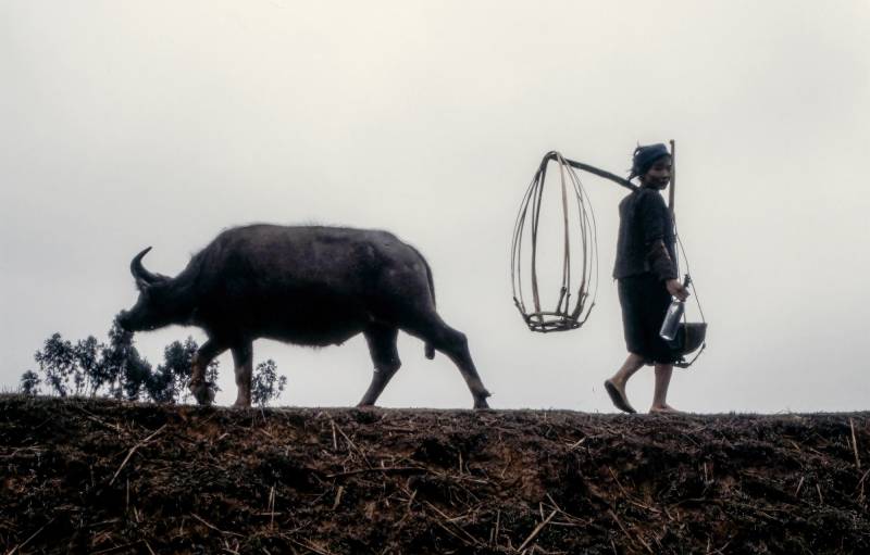 1984, Dreiviertel der Gesamtbevölkerung arbeiten auf dem Land.