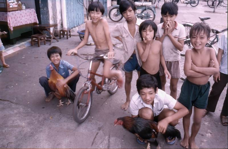 1984, Ho-Chi-Minh-Stadt, Kinder mit einem Kampfhahn.