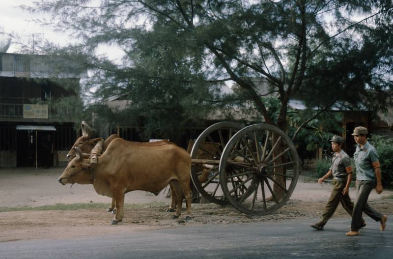 1984, zwei Soldaten der vietnamesischen Armee.